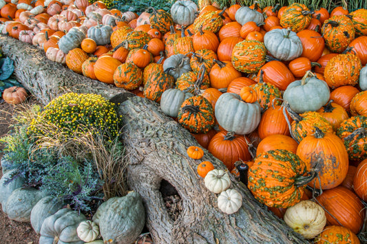 Should Christians Celebrate Halloween?