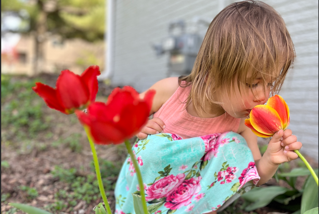 16 Ways to Celebrate the Season of Creation