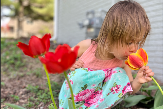 16 Ways to Celebrate the Season of Creation