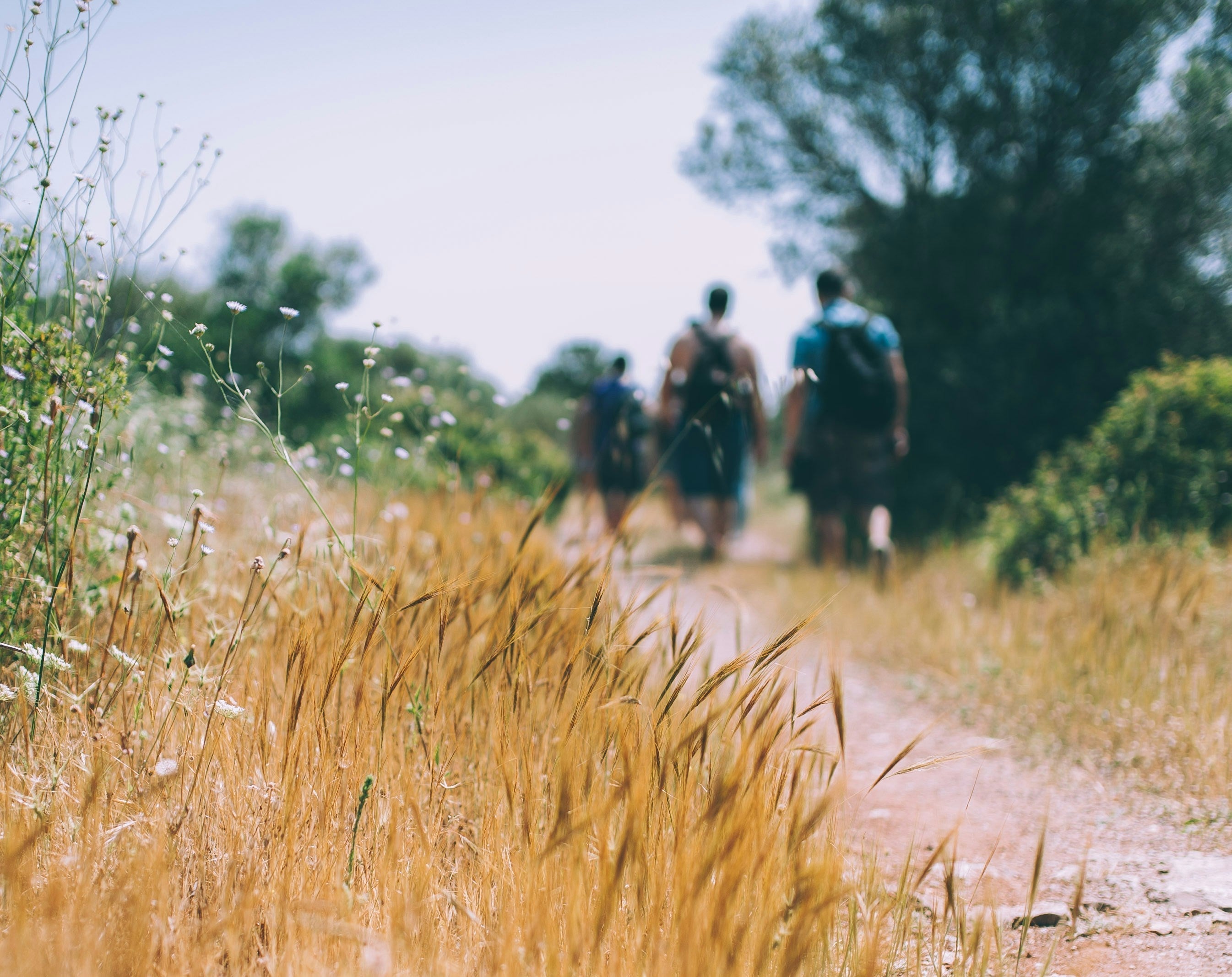 men walking outside